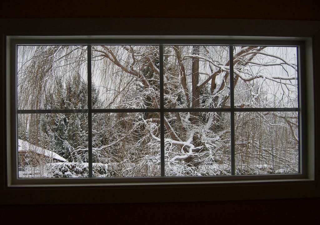 winter trees outside window